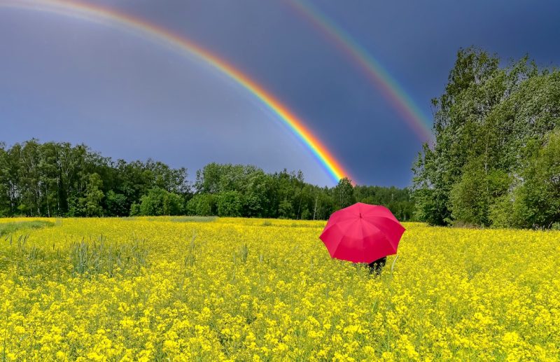虹と赤い傘